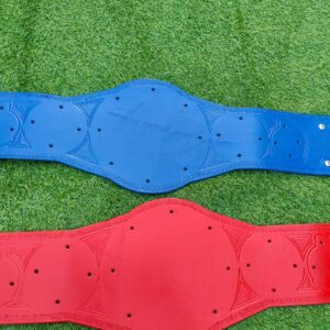 WWE Penny Silver Red & Blue Tag Team Championship Adult Sized Replica Belt Real Leather Send Out Strap